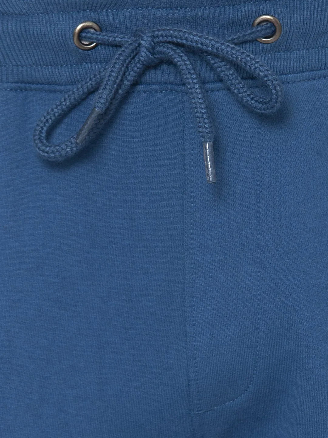 Flawless Men Blue Jogger