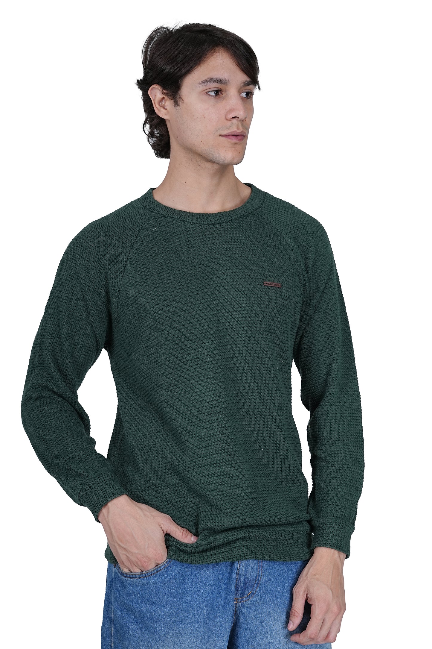 Flawless Men Green Knitted Sweater Being Flawless