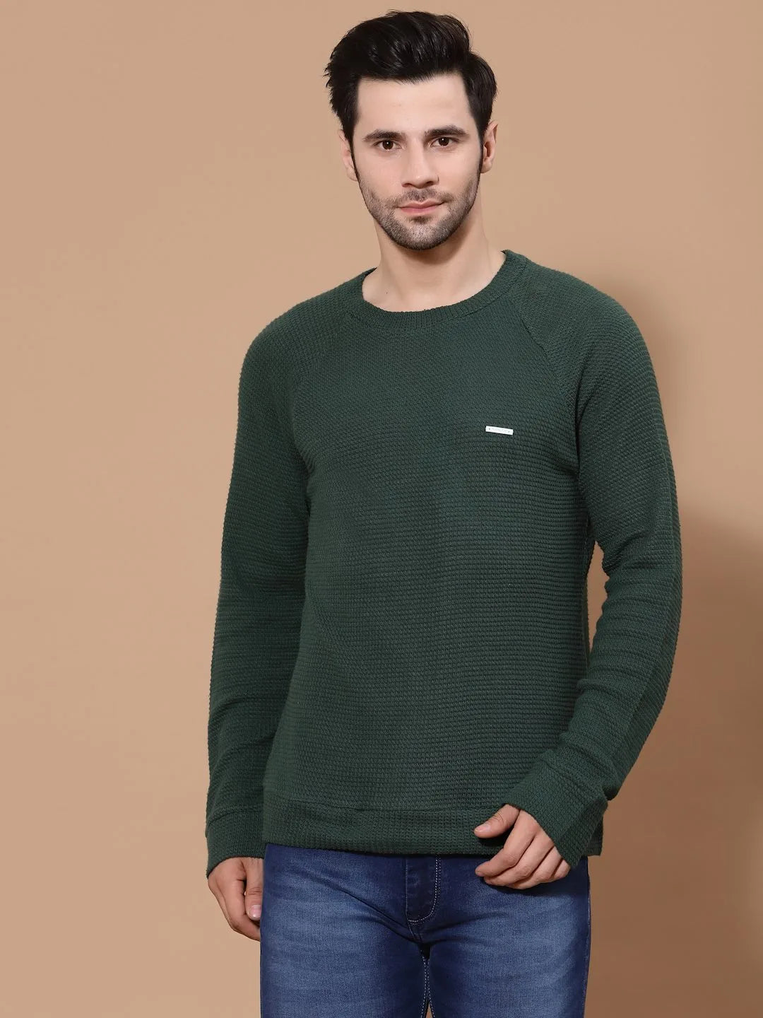 Flawless Men Green Knitted Sweater