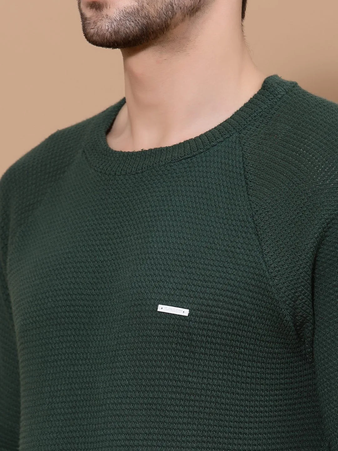 Flawless Men Green Knitted Sweater
